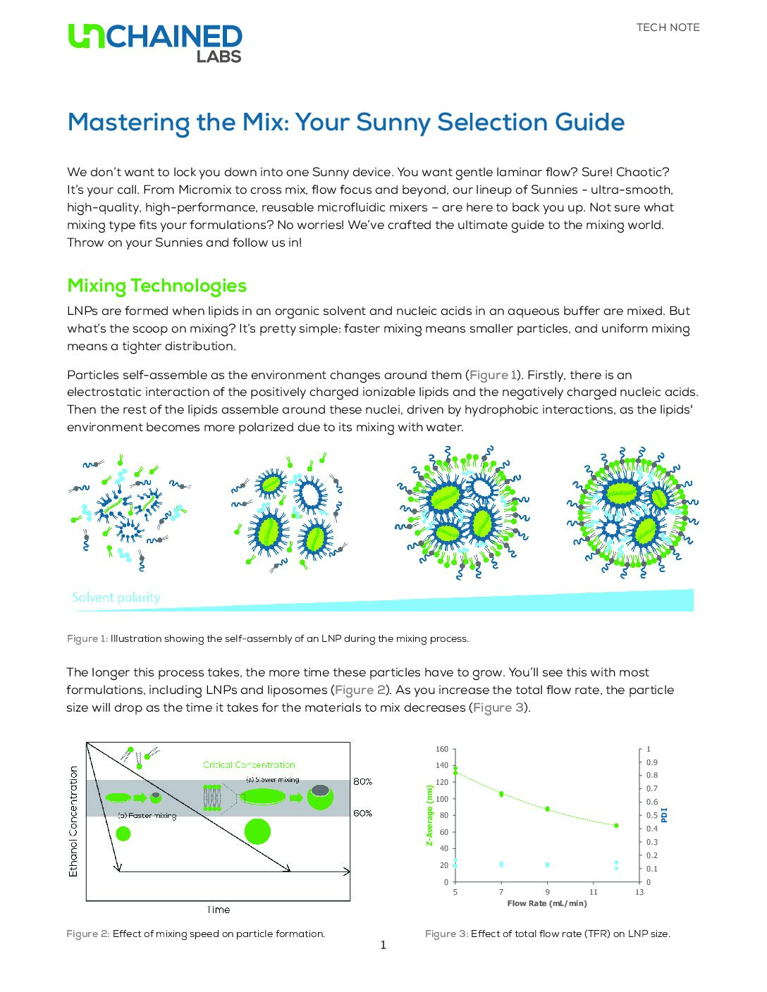 Mastering the Mix: Your Sunny Selection Guide